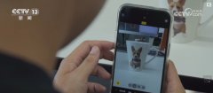 接到设想需求或者出图需求的时